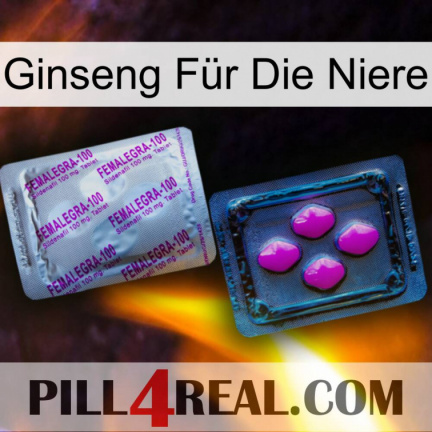 Ginseng Für Die Niere 37